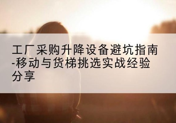 淅川移动式升降机怎么选-工厂采购升降设备避坑指南-移动与货梯挑选实战经验分享
