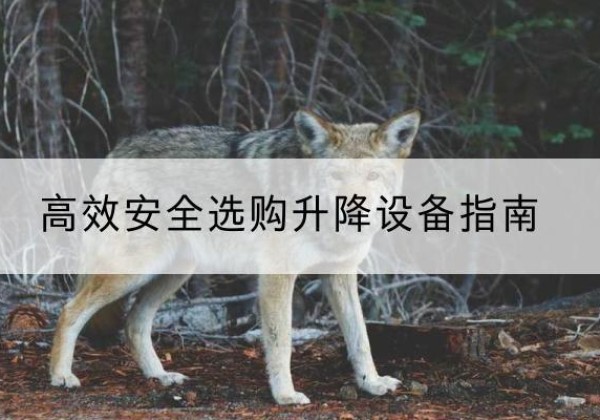 淅川升降货梯厂家推荐-*安全选购升降设备指南