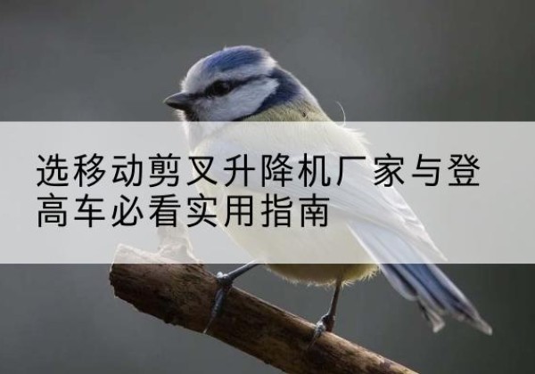 淅川电动升降机厂家-选移动剪叉升降机厂家与登高车必看实用指南